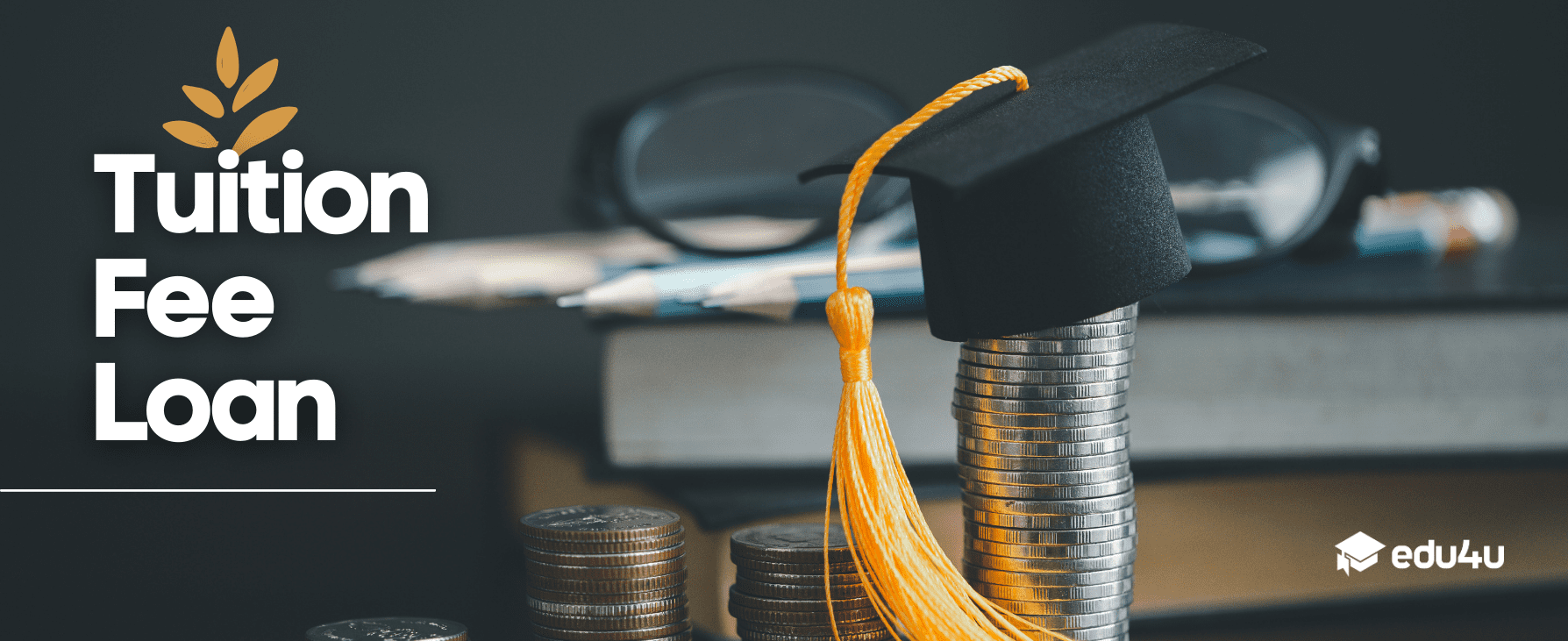 Tuition fee loan in England